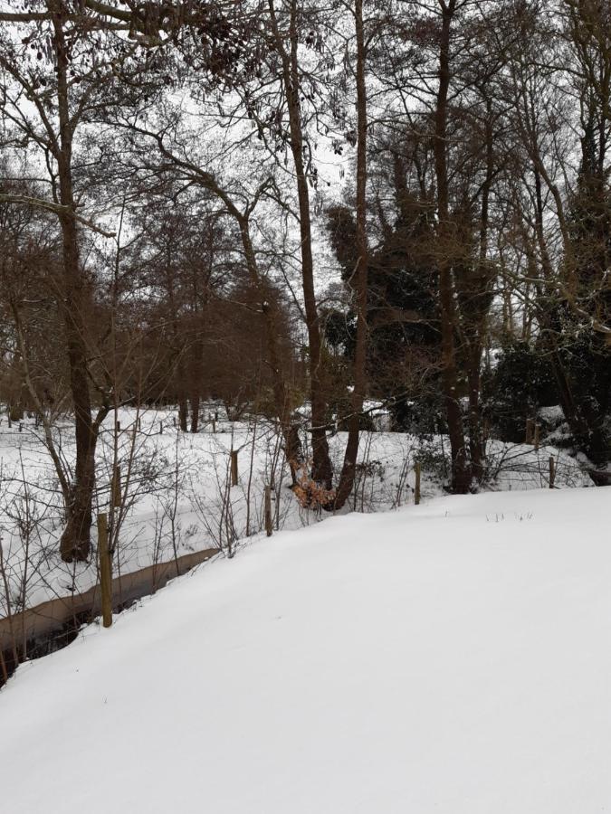 B & B Twijfelveld 아센 외부 사진